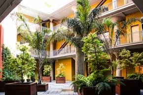 Oakland apartment for rent - Common Area Courtyard